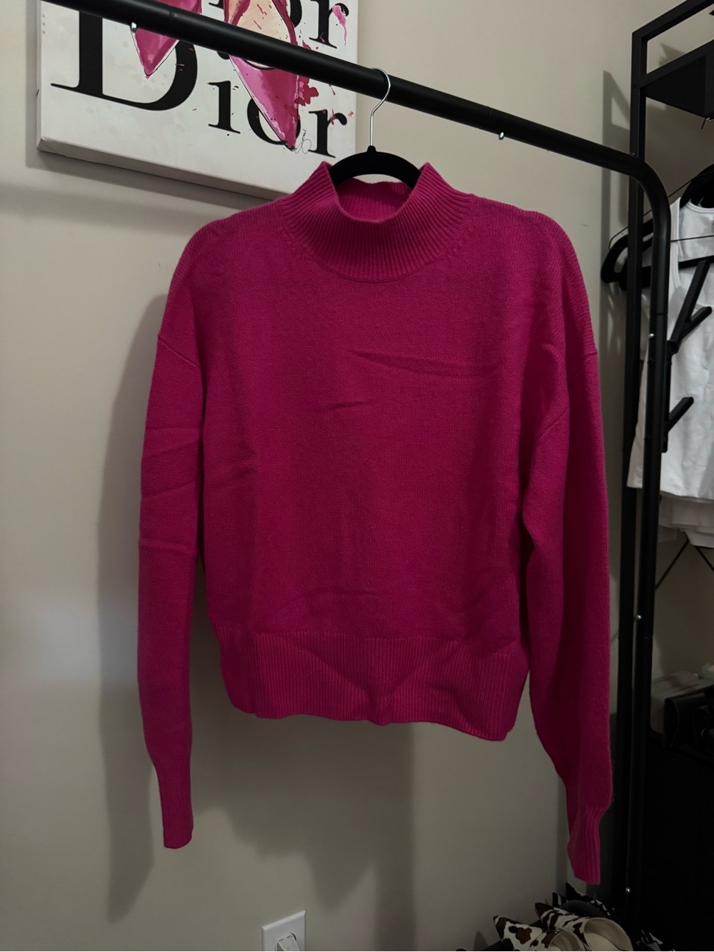 Aritzia Cashmere Mockneck Sweater